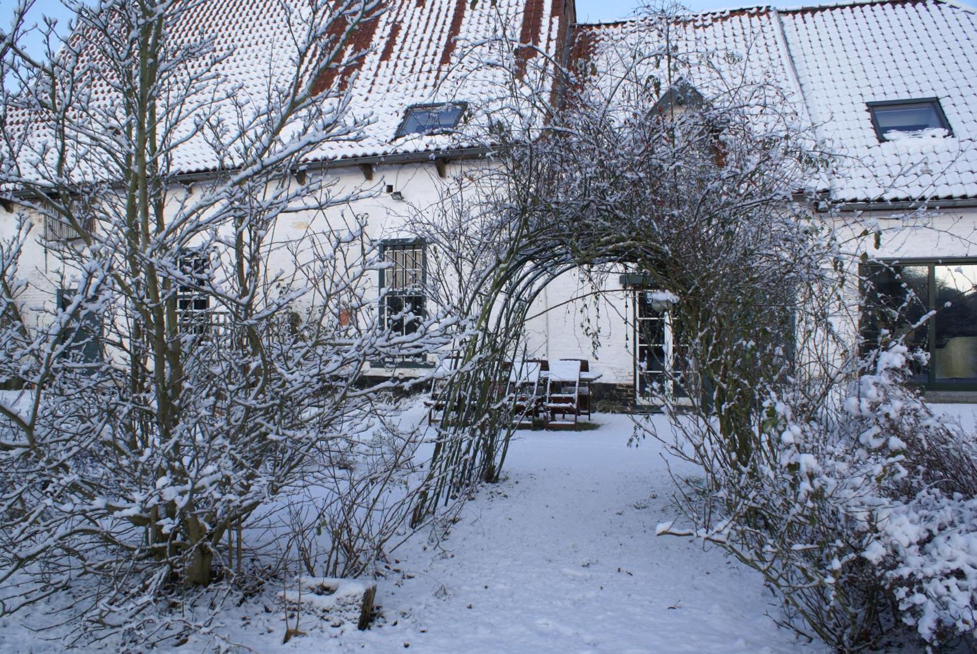 B&B De Metstermolen Sint-Truiden Ngoại thất bức ảnh